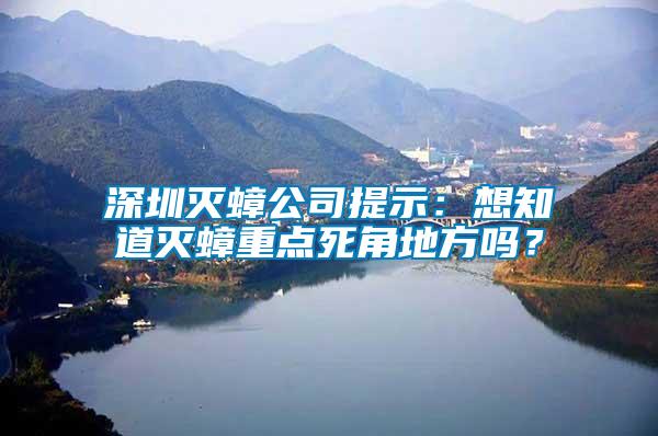 深圳灭蟑公司提示：想知道灭蟑重点死角地方吗？