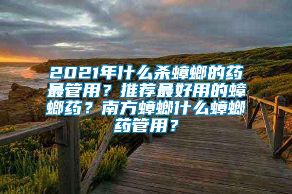 2021年什么杀蟑螂的药最管用？推荐最好用的蟑螂药？南方蟑螂什么蟑螂药管用？