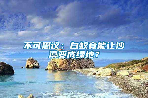 不可思议：白蚁竟能让沙漠变成绿地？