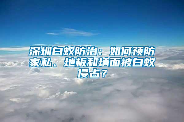 深圳白蚁防治：如何预防家私、地板和墙面被白蚁侵占？