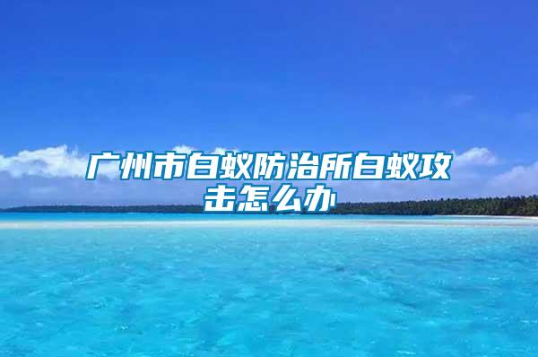 广州市白蚁防治所白蚁攻击怎么办