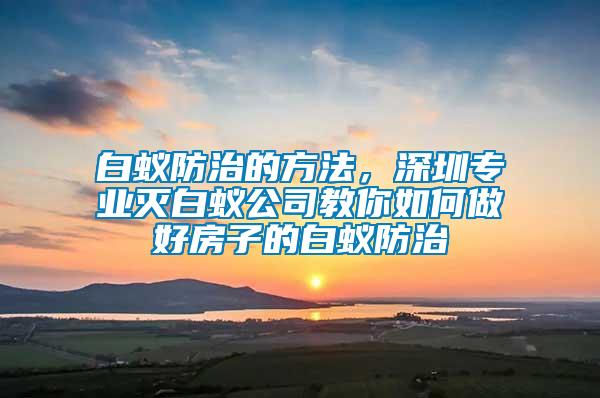 白蚁防治的方法，深圳专业灭白蚁公司教你如何做好房子的白蚁防治