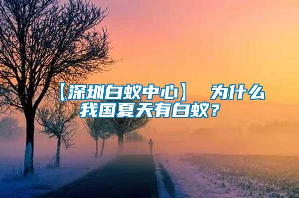 【深圳白蚁中心】 为什么我国夏天有白蚁？