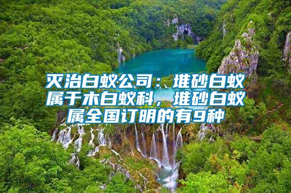 灭治白蚁公司：堆砂白蚁属于木白蚁科，堆砂白蚁属全国订明的有9种