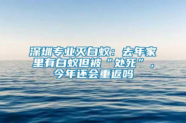 深圳专业灭白蚁：去年家里有白蚁但被“处死”，今年还会重返吗