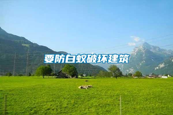 要防白蚁破坏建筑