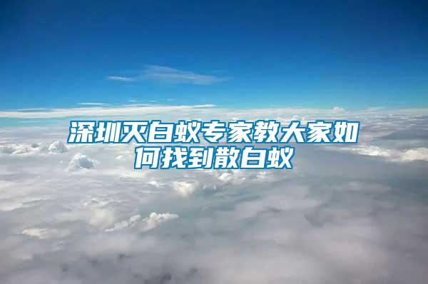 深圳灭白蚁专家教大家如何找到散白蚁