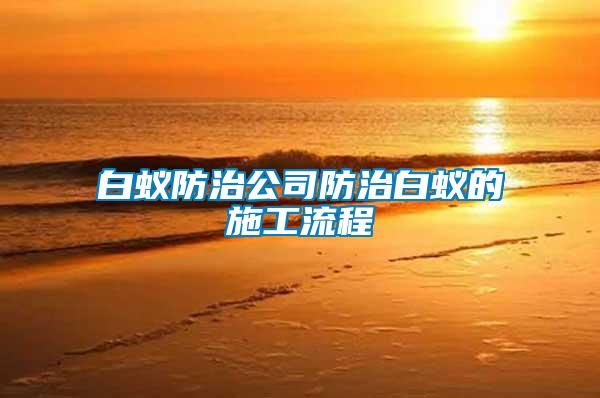 白蚁防治公司防治白蚁的施工流程