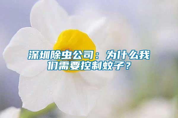 深圳除虫公司：为什么我们需要控制蚊子？