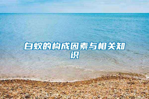 白蚁的构成因素与相关知识