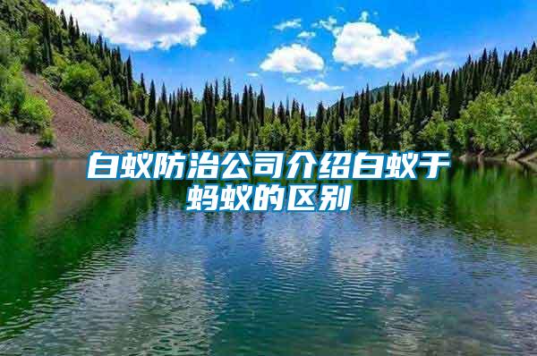 白蚁防治公司介绍白蚁于蚂蚁的区别