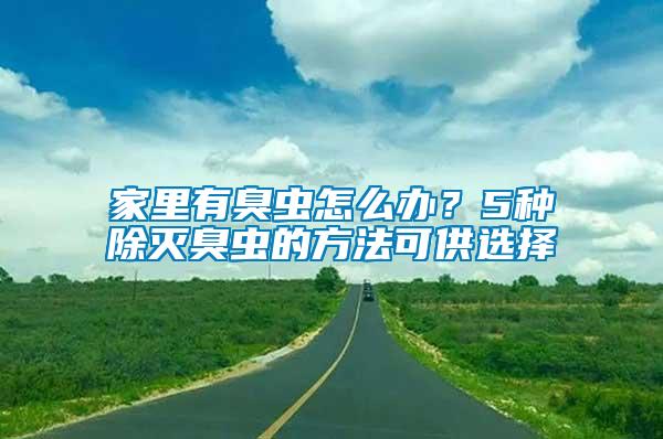 家里有臭虫怎么办？5种除灭臭虫的方法可供选择