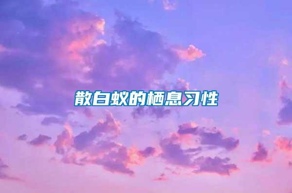 散白蚁的栖息习性