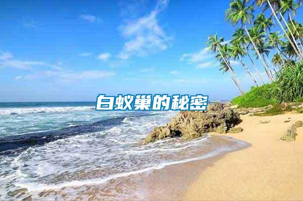 白蚁巢的秘密