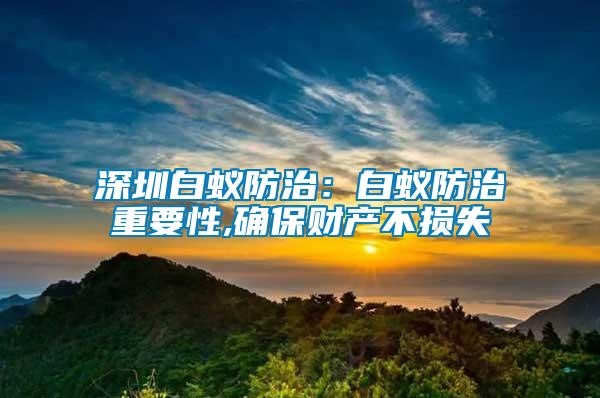 深圳白蚁防治：白蚁防治重要性,确保财产不损失