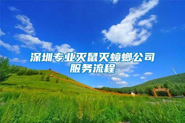 深圳专业灭鼠灭蟑螂公司服务流程