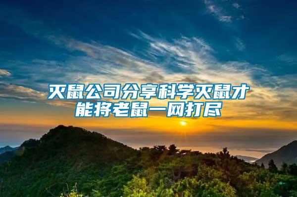 灭鼠公司分享科学灭鼠才能将老鼠一网打尽