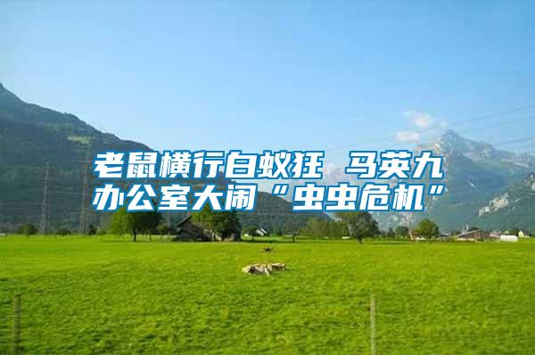 老鼠横行白蚁狂 马英九办公室大闹“虫虫危机”