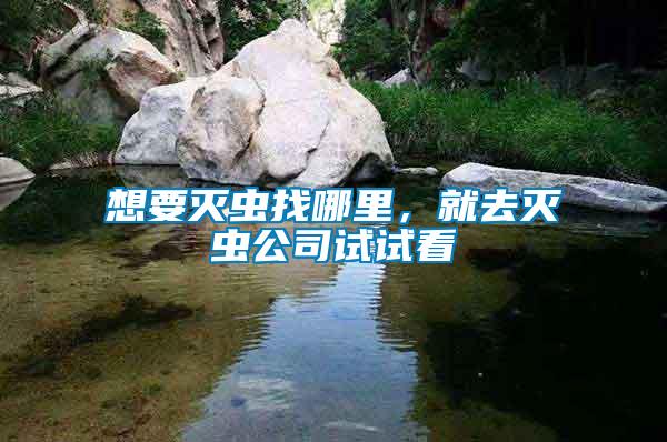 想要灭虫找哪里，就去灭虫公司试试看