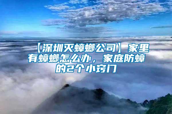 【深圳灭蟑螂公司】家里有蟑螂怎么办，家庭防蟑的2个小窍门