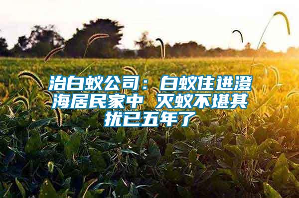 治白蚁公司：白蚁住进澄海居民家中 灭蚁不堪其扰已五年了