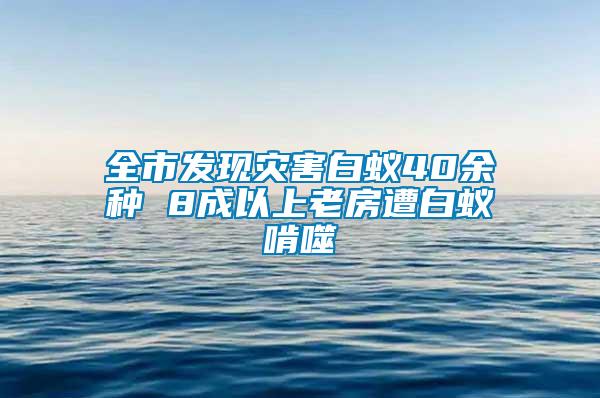 全市发现灾害白蚁40余种 8成以上老房遭白蚁啃噬