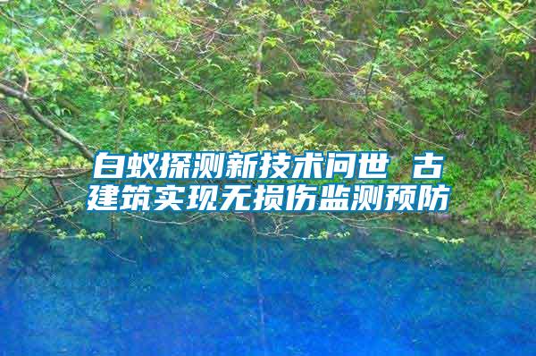 白蚁探测新技术问世 古建筑实现无损伤监测预防