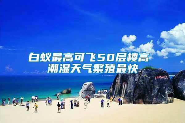 白蚁最高可飞50层楼高 潮湿天气繁殖最快