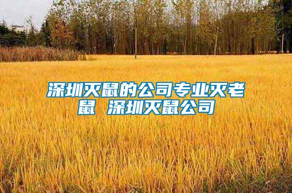 深圳灭鼠的公司专业灭老鼠 深圳灭鼠公司