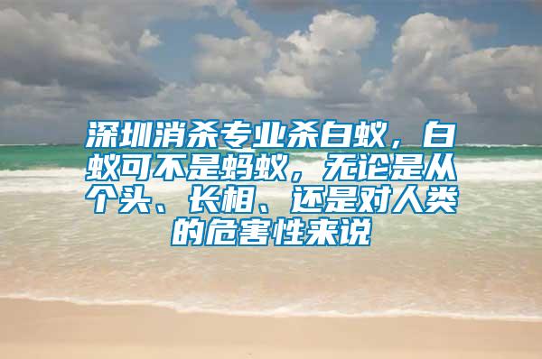 深圳消杀专业杀白蚁，白蚁可不是蚂蚁，无论是从个头、长相、还是对人类的危害性来说