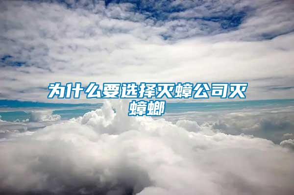 为什么要选择灭蟑公司灭蟑螂