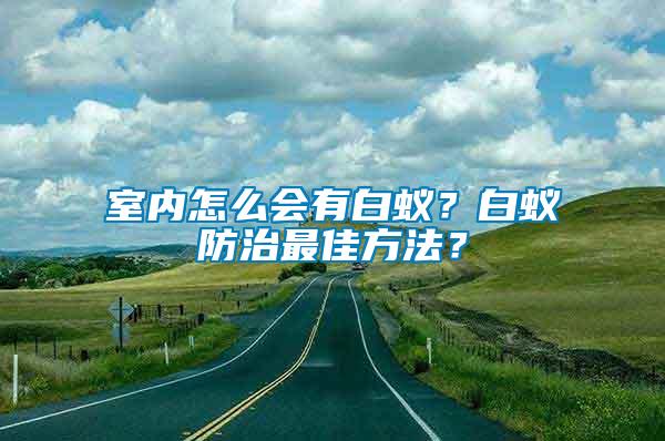 室内怎么会有白蚁？白蚁防治最佳方法？