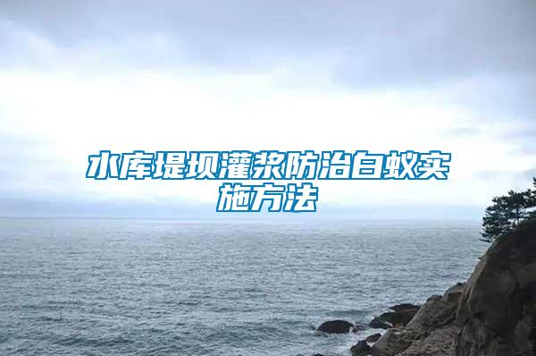 水库堤坝灌浆防治白蚁实施方法