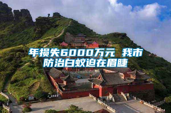 年损失6000万元 我市防治白蚁迫在眉睫