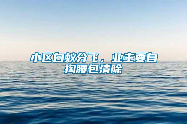 小区白蚁分飞，业主要自掏腰包清除