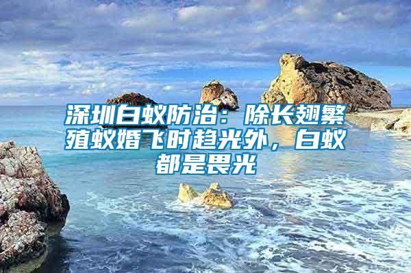 深圳白蚁防治：除长翅繁殖蚁婚飞时趋光外，白蚁都是畏光