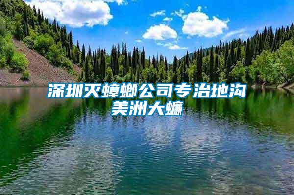 深圳灭蟑螂公司专治地沟美洲大蠊