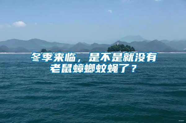 冬季来临，是不是就没有老鼠蟑螂蚊蝇了？