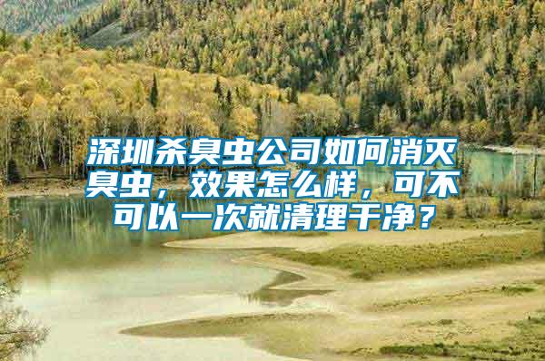 深圳杀臭虫公司如何消灭臭虫，效果怎么样，可不可以一次就清理干净？