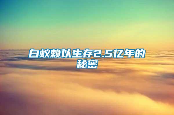 白蚁赖以生存2.5亿年的秘密