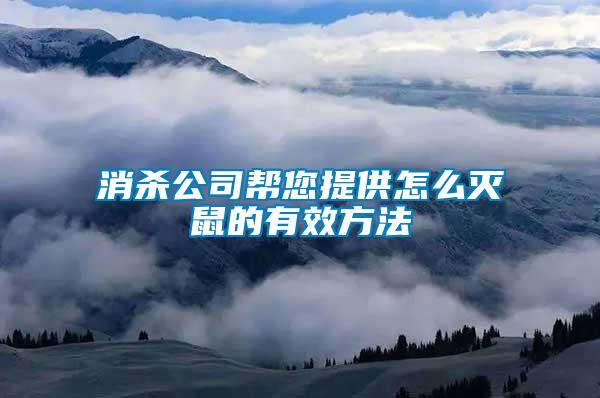 消杀公司帮您提供怎么灭鼠的有效方法