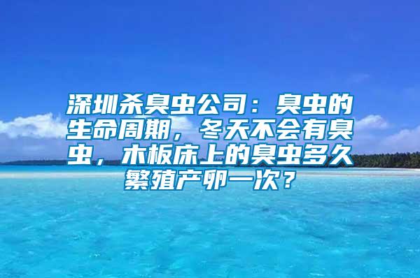 深圳杀臭虫公司：臭虫的生命周期，冬天不会有臭虫，木板床上的臭虫多久繁殖产卵一次？