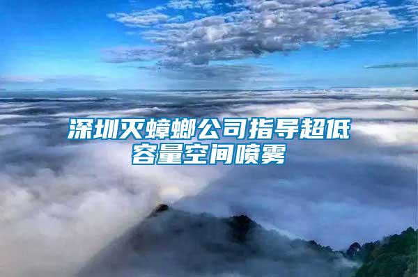 深圳灭蟑螂公司指导超低容量空间喷雾