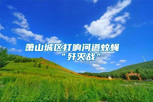 萧山城区打响河道蚊蝇“歼灭战”