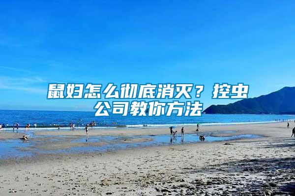 鼠妇怎么彻底消灭？控虫公司教你方法