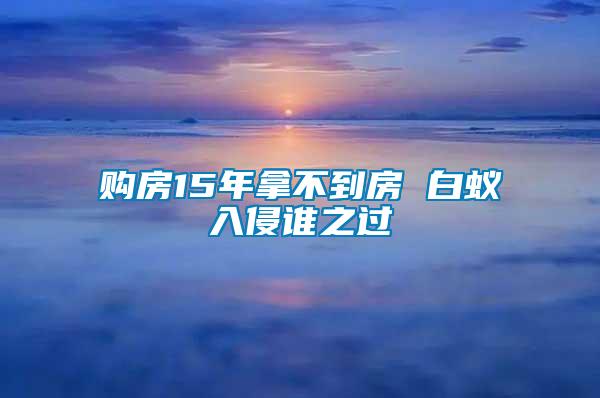 购房15年拿不到房 白蚁入侵谁之过