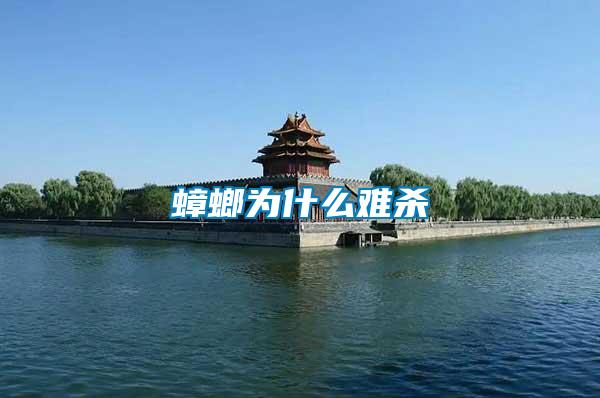 蟑螂为什么难杀