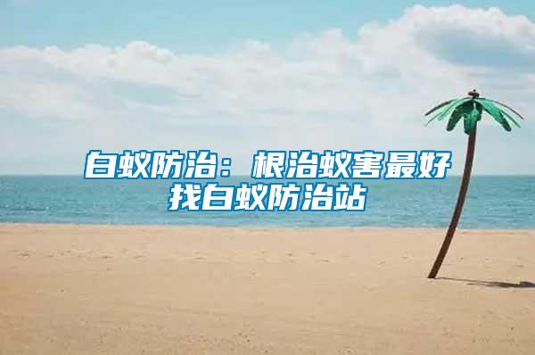 白蚁防治：根治蚁害最好找白蚁防治站