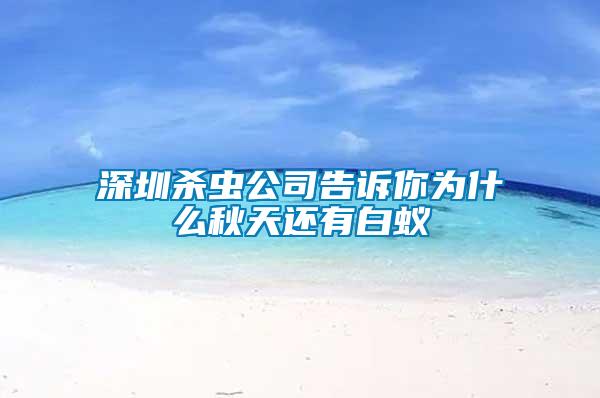 深圳杀虫公司告诉你为什么秋天还有白蚁