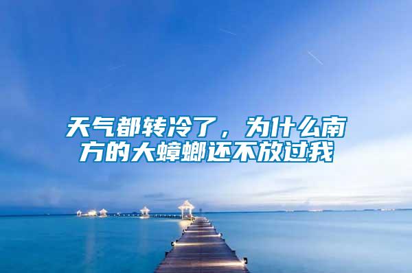 天气都转冷了，为什么南方的大蟑螂还不放过我